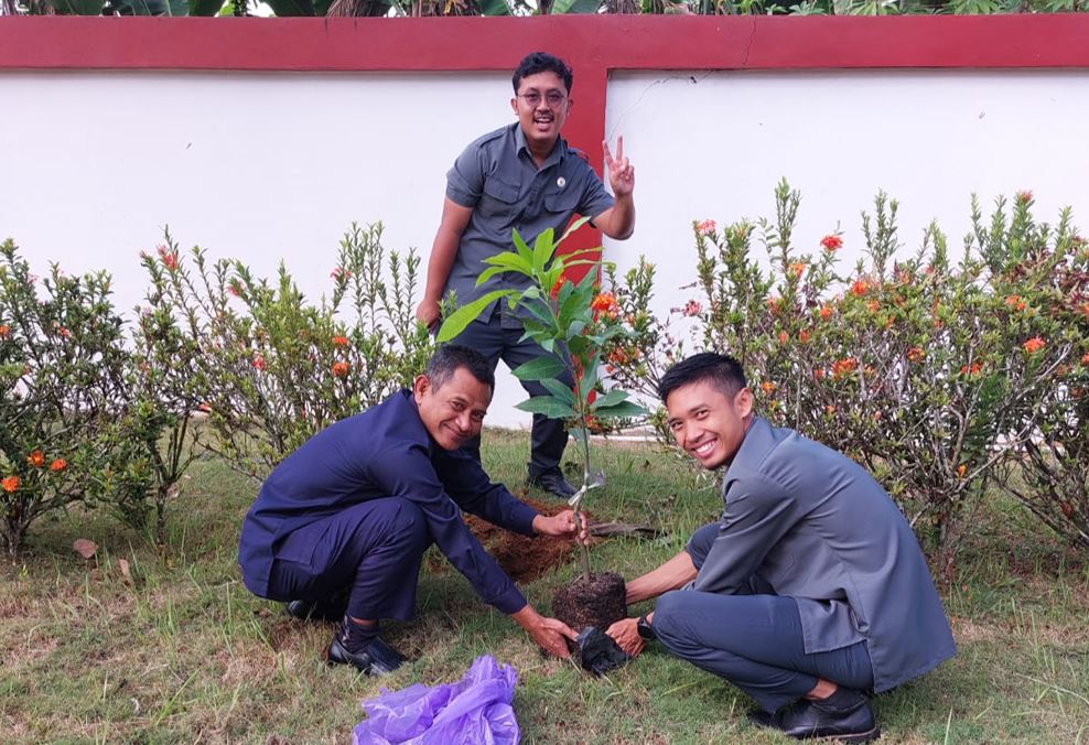 penanaman 3